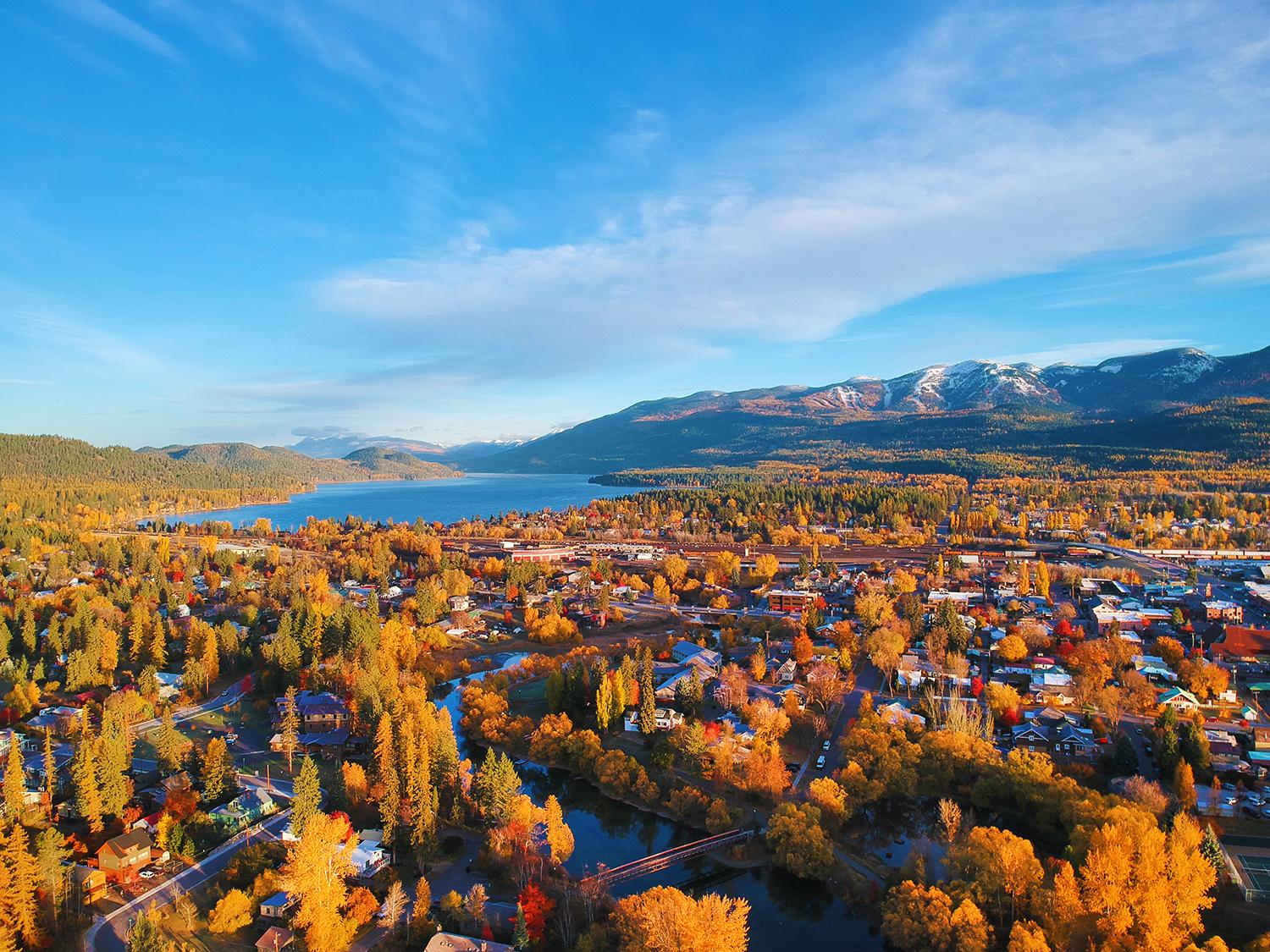 Whitefish