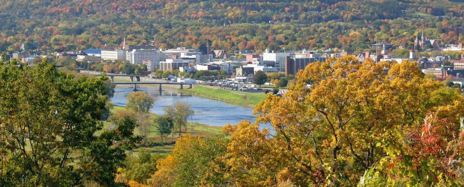 Elmira