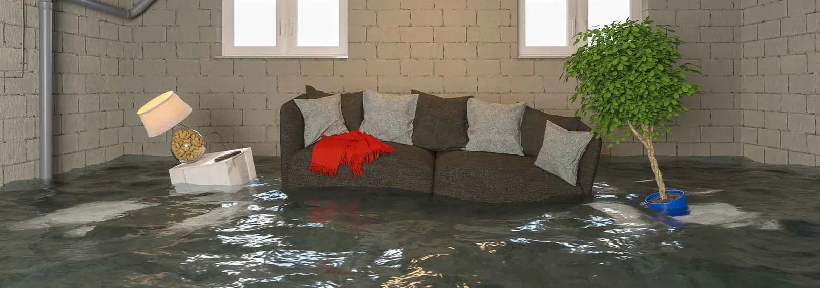 Flooded Basement
