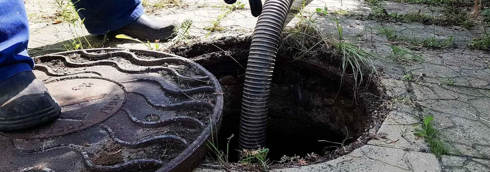 Sewage Cleanup