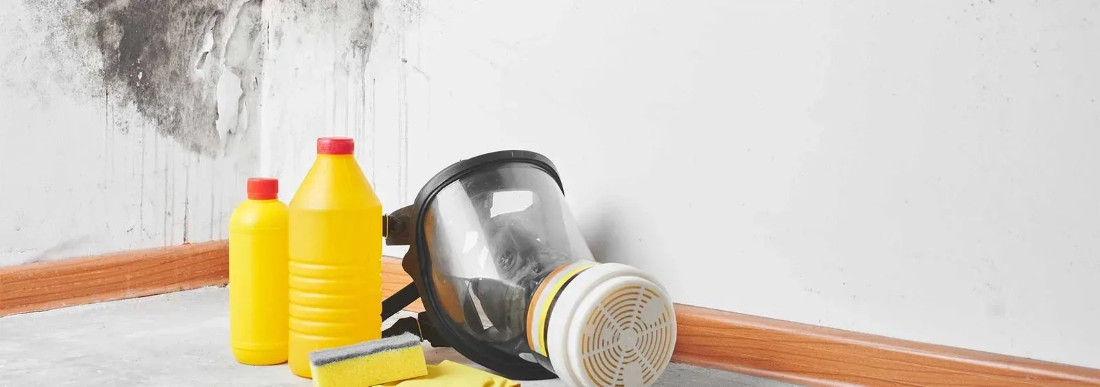Mold Removal